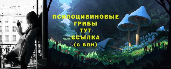 не бодяженный Алзамай