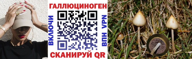 Галлюциногенные грибы MAGIC MUSHROOMS Ивдель